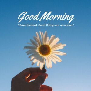 good morning sun flower images